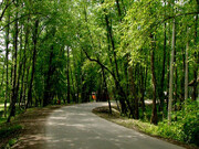 کشپل پارکی جنگلی و زیبا در مازندران