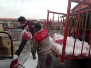 اهداء کالاهای خوراکی و بهداشتی به موسسه توانبخشی بچه‌ های آسمان کامران