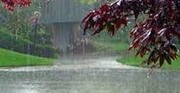 بارش باران در ۷ استان  طی دو روز آینده