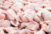 تولید ماهانه ۲۲۰ هزار تن مرغ در ایران