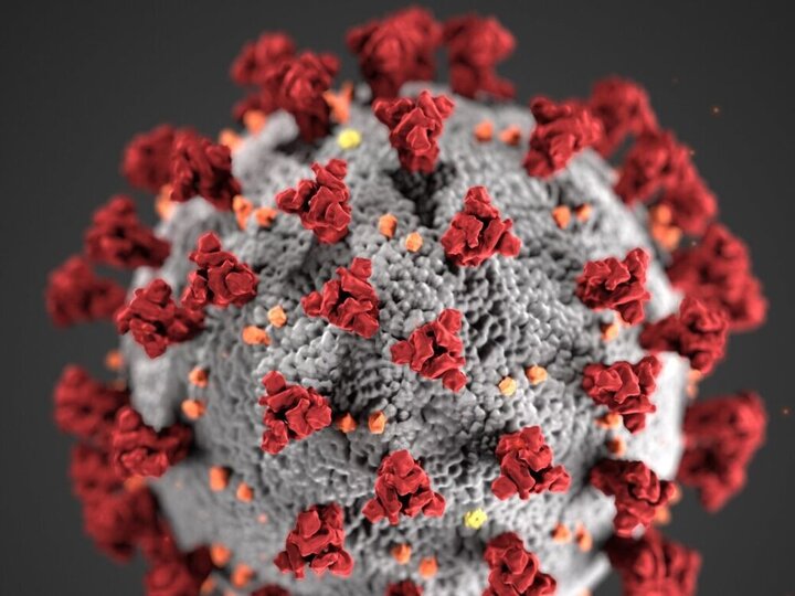 سویهای خطرناکتر و وحشتناکتر از کرونا در راه است؛ قدرت انتشار کم و مرگومیر بالا! سویهای خطرناکتر و وحشتناکتر از کرونا در راه است؛ قدرت انتشار کم و مرگومیر بالا!