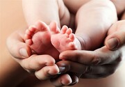 بازار خرید و فروش جنین در ایران؛ نوزاد ۵۰۰ میلیون تومان!