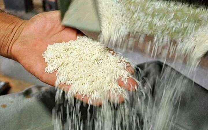 برنج باز هم گران شد / قیمت جدید برنج ۲۱ اردیبهشت ۱۴۰۱