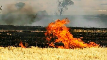آتش بیش از ۳ هکتار اراضی کشاورزی ایذه را از بین برد