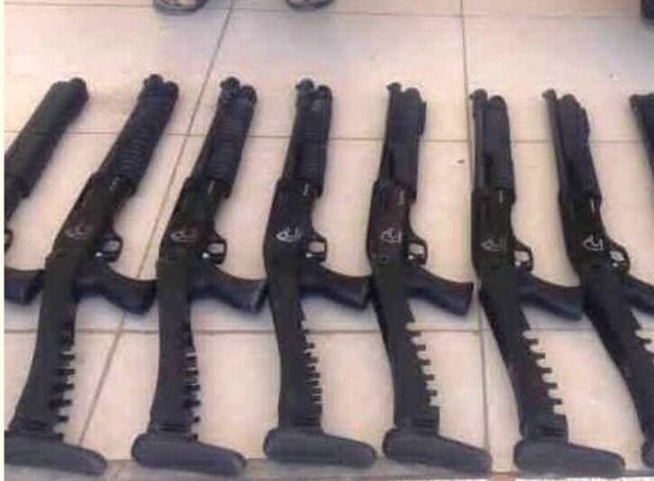 بازداشت قاچاقچیان سلاح های شکاری در فسا 