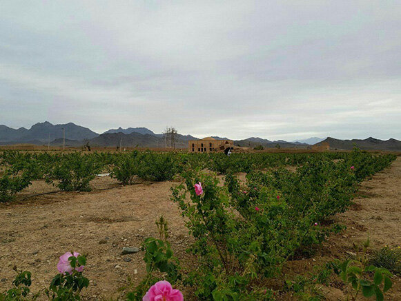 آشنایی با تاجآباد عمارتی کهن در نطنز آشنایی با تاجآباد عمارتی کهن در نطنز