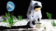 پرورش گیاه در خاک ماه برای اولین بار / عکس
