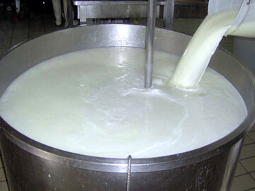 قیمت تضمینی شیر خام تعیین شد / هر کیلو شیر چند؟