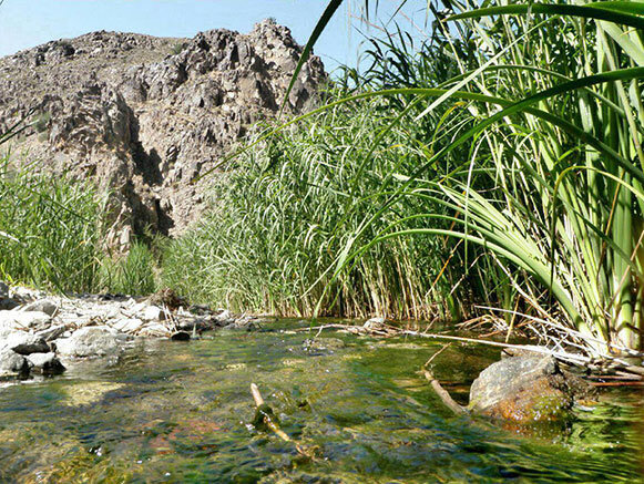 تفرجگاه خارزنج خلیل آباد مقصدی مناسب برای گردشگری 