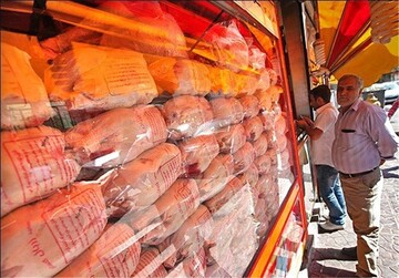 قیمت مرغ باز هم کاهش یافت / قیمت مرغ ۲۶ اردیبهشت ۱۴۰۱ اعلام شد