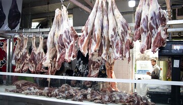 واردات گوشت از روسیه و پاکستان آغاز شد