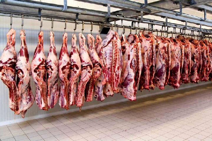 قیمت گوشت ۲۶ اردیبهشت ۱۴۰۱ اعلام شد / گوشت گران شد؟