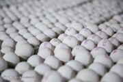 جمع آوری تخم مرغ مازاد از سطح بازار / تخم‌مرغ دانه‌ای چند؟