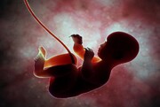 ۹۶ درصد سقط‌ جنین‌ها در ایران مربوط به ازدواج‌های رسمی است