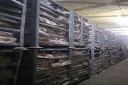 کشف ۳۱۰ تن مرغ منجمد احتکار شده در مهاباد