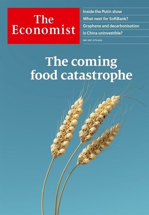 فاجعه غذایی در جهان در راه است / عکس