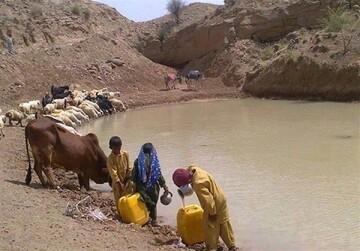 سریال تلخ قربانیان «هوتک» ادامه دارد / مرگ ۶ نفر در هوتگ‌های منطقه بلوچستان در هفته گذشته!