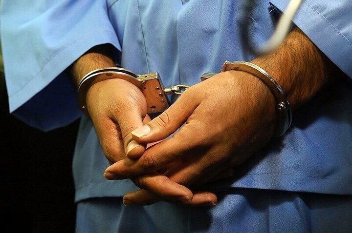 باند سرقت منازل در تهران بازداشت شد! / فیلم