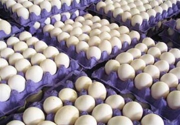 مردم تمایلی به خرید تخم‌مرغ ندارند / قیمت هر شانه تخم‌ مرغ چند؟