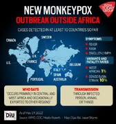 ۱۰۰ مورد ابتلا به آبله میمون در اروپا تایید شد / سازمان جهانی بهداشت جلسه اضطراری تشکیل داد