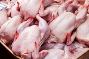 قیمت مرغ در خرده‌فروشی‌ها کاهش یافت / قیمت مرغ ۴ خرداد ۱۴۰۱ اعلام شد
