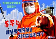 تصاویری از پوسترهای مقابله با کرونا در کره شمالی