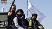 فرمانده ارشد طالبان در قندهار کشته شد