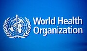 سازمان جهانی بهداشت: آبله میمونی "خطر جدی" برای سلامت عمومی ایجاد نمی‌کند