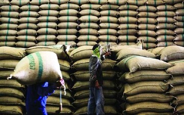 شوک جدید به بازار برنج؛ برنج هندی از بازار ایران حذف می‌شود؟