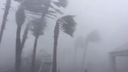 نجات لحظه آخری یک مرد هنگام پرتاب سقف خانه بر اثر طوفان / فیلم