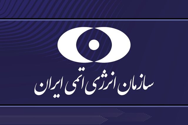 قطع فعالیت تعدادی از دوربین‌های فراپادمانی آژانس در ایران