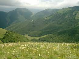 منطقه جنگلی چیچکلی بهشت گمشده آذربایجان