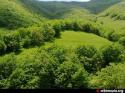منطقه جنگلی چیچکلی بهشت گمشده آذربایجان