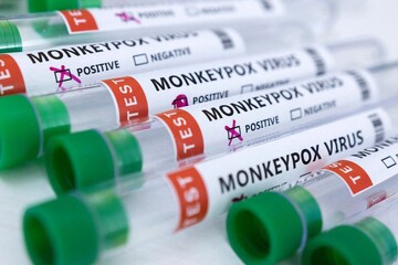 اتحادیه اروپا به دنبال خرید واکسن آبله میمون
