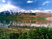 تالاب گندمان جزو ده تالاب برتر پرنده‌نگری ایران