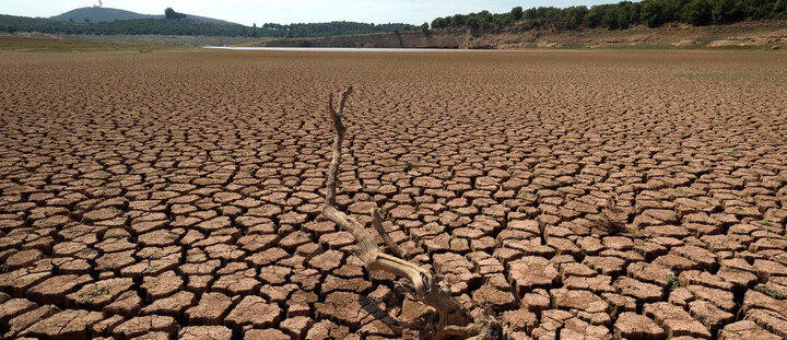 درحال گذراندن سخت‌ترین خشکسالی جهانی هستیم | خشکسالی می‌تواند موجب تشدید بیابان‌زایی شود