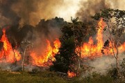 گزارش هواشناسی ۲۸ خرداد ۱۴۰۱ / هشدار درباره آتش‌سوزی در جنگل‌ها و طوفان شن