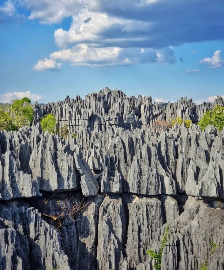 روایت مملیکا از ماداگاسکار و جنگل صخره‌ای سینگی