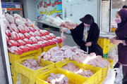 مرغ گران شد / قیمت مرغ در تهران چند؟