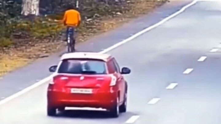 لحظه دلهره آور حمله ببر به دوچرخه‌سوار در خیابان + فیلم دوربین مداربسته