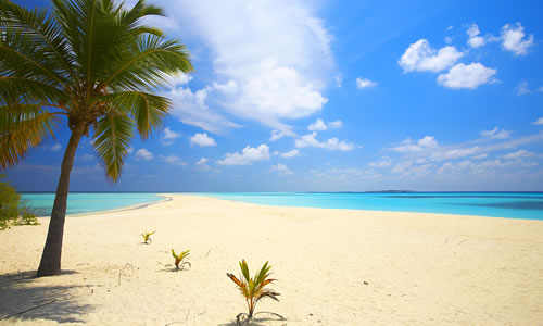 سفر به مالدیو؛ مقصدی متفاوت و ارزان در تابستان