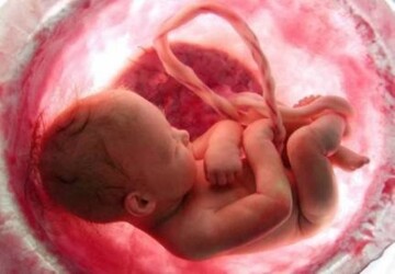 آمار عجیب پزشکی قانونی: سالانه ۱۲ هزار نفر برای سقط قانونی جنین مراجعه می کنند