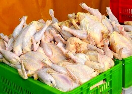  قیمت مرغ در بازار به کیلویی ۶۰ هزار تومان نزدیک شد
