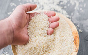 رکود بر بازار برنج؛ قیمت برنج کاهش یافت