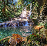 عکسی شگفت آور از آبشاری آهکی در قلب جنگل‌های مازندران