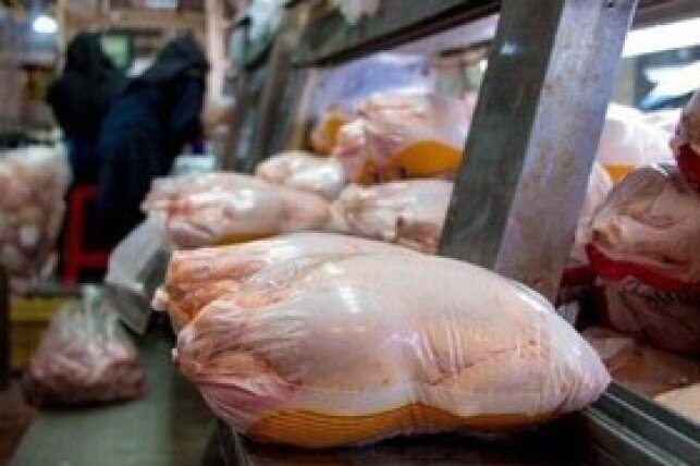 قیمت انواع مرغ بسته‌بندی شده در بازار + جدول