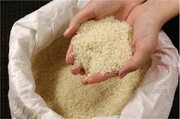 قیمت روز انواع برنج ایرانی و خارجی ۱۲ تیر ۱۴۰۱ + جدول