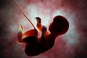 پروانه پزشکان خاطی سقط جنین باطل می‌شود