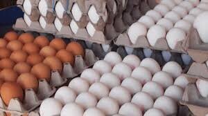 قیمت هر شانه تخم مرغ به ۸۵ هزار تومان رسید /  قیمت تخم‌مرغ های بسته بندی شده چند؟