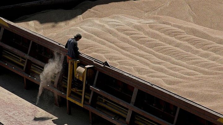 ایران به دنبال خرید گندم از مناطق اشغالی اوکراین